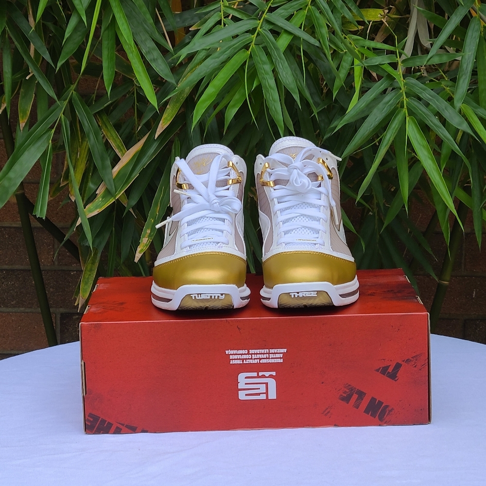 Nike LeBron 7 China Moon - Picture 5 of 6